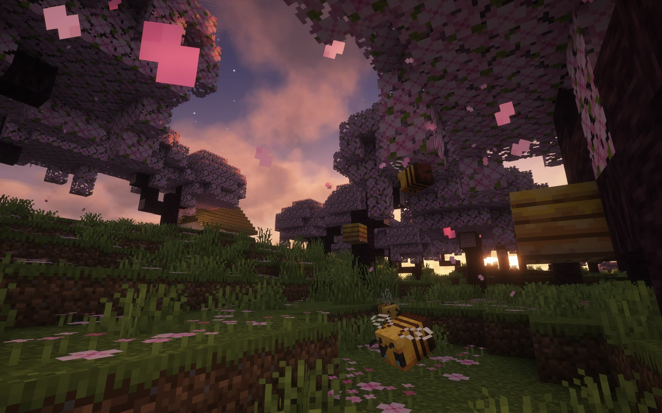 Minecraft 樱花林与蜜蜂